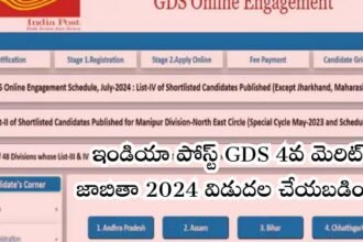 ఇండియా పోస్ట్ GDS