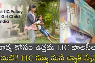 LIC Policies